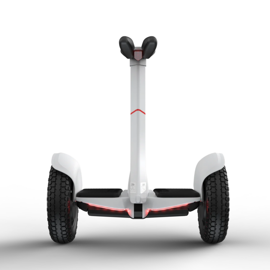 Segway Ninebot Electric S2 Self Balancing Scooter