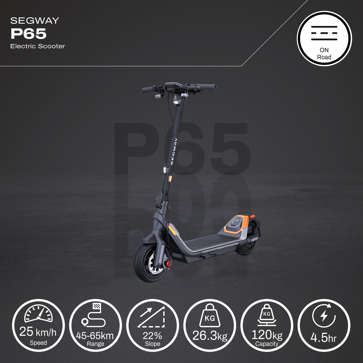 Segway Ninebot P65A Electric Scooter