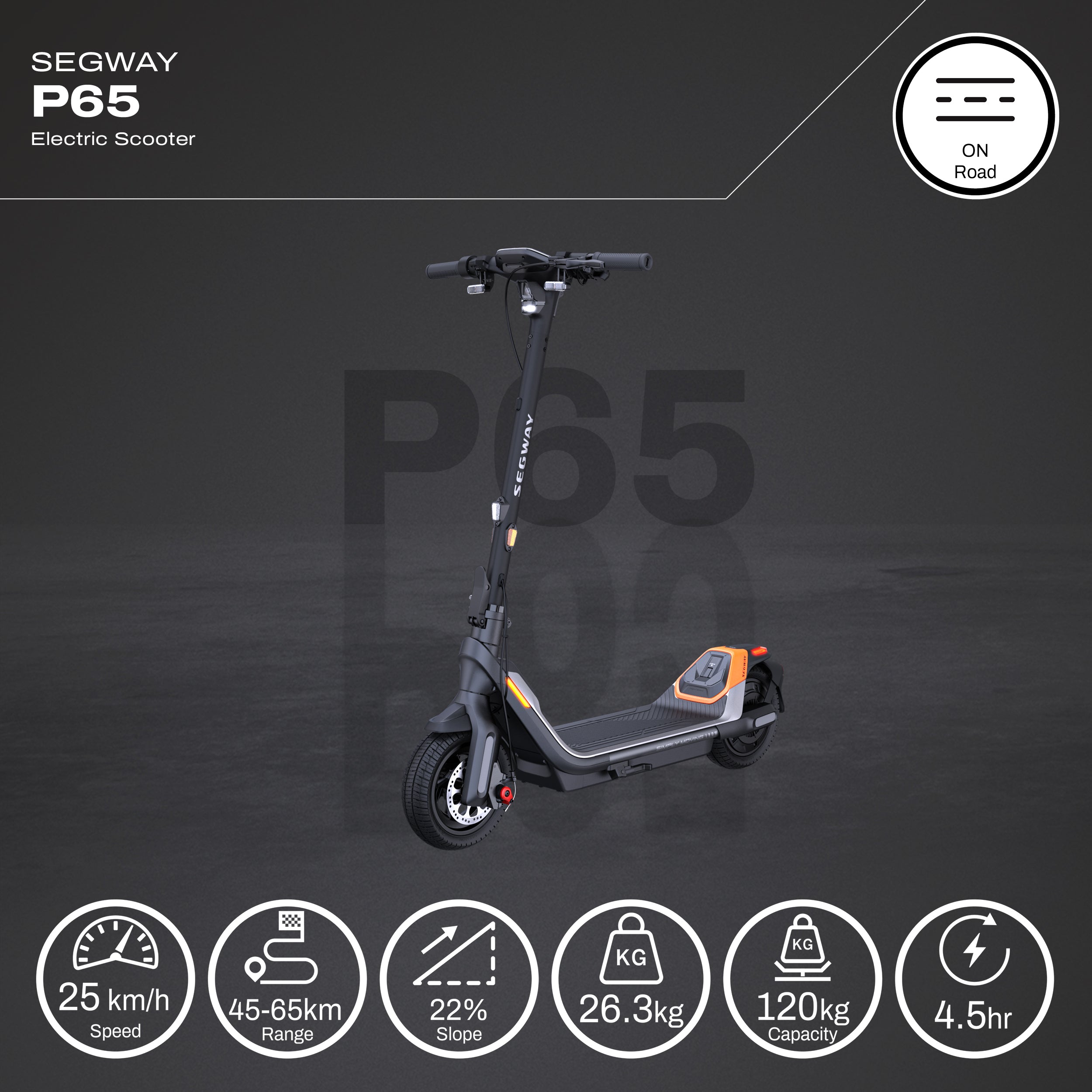 Segway Ninebot P65A Electric Scooter