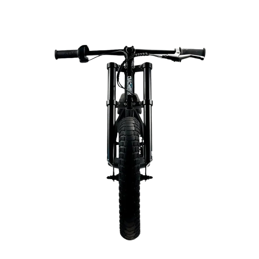 Stacyc 16 HDrive (16 Hub) Electric Bike