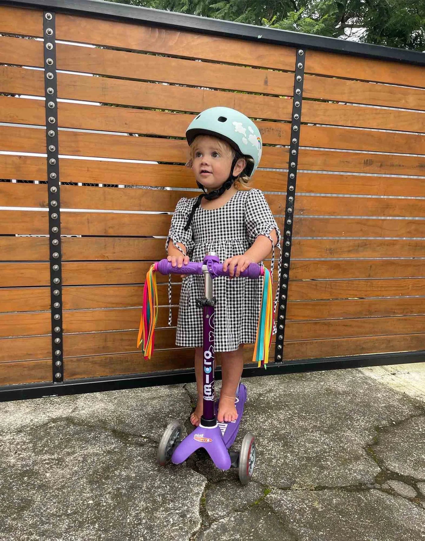 Micro Mini Deluxe 3 Wheel Scooter