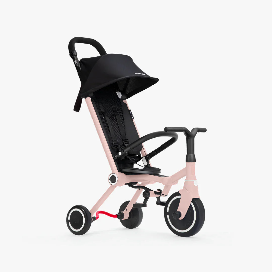 SmartTrike Wind Trike