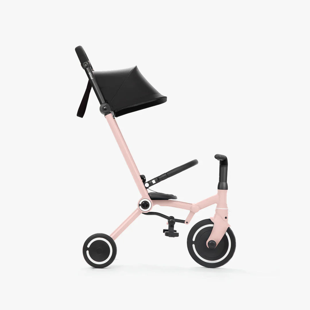 SmartTrike Wind Trike