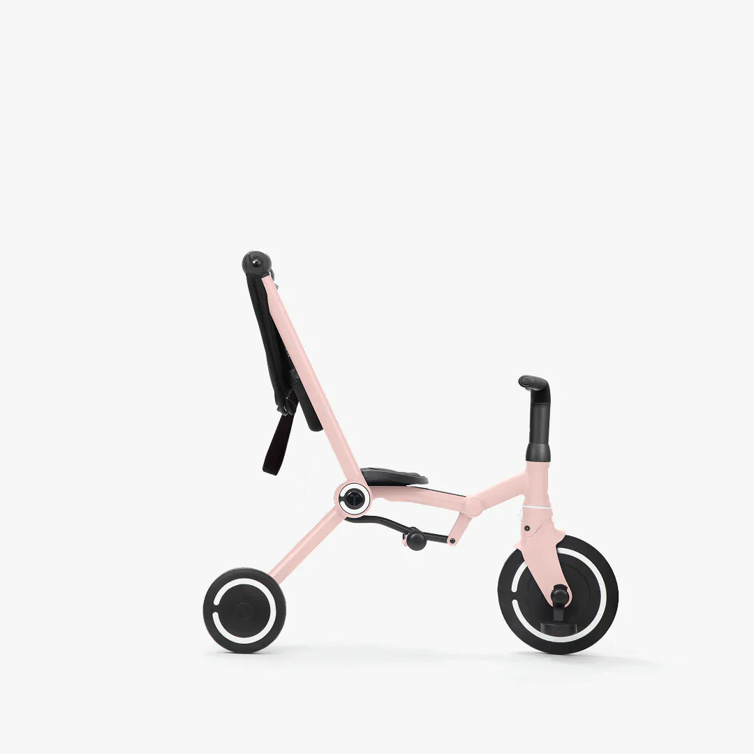 SmartTrike Wind Trike