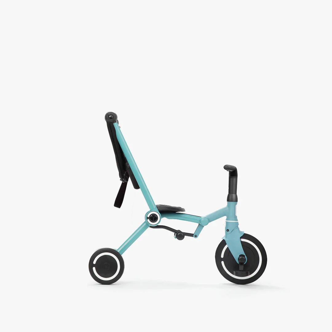 SmartTrike Wind Trike