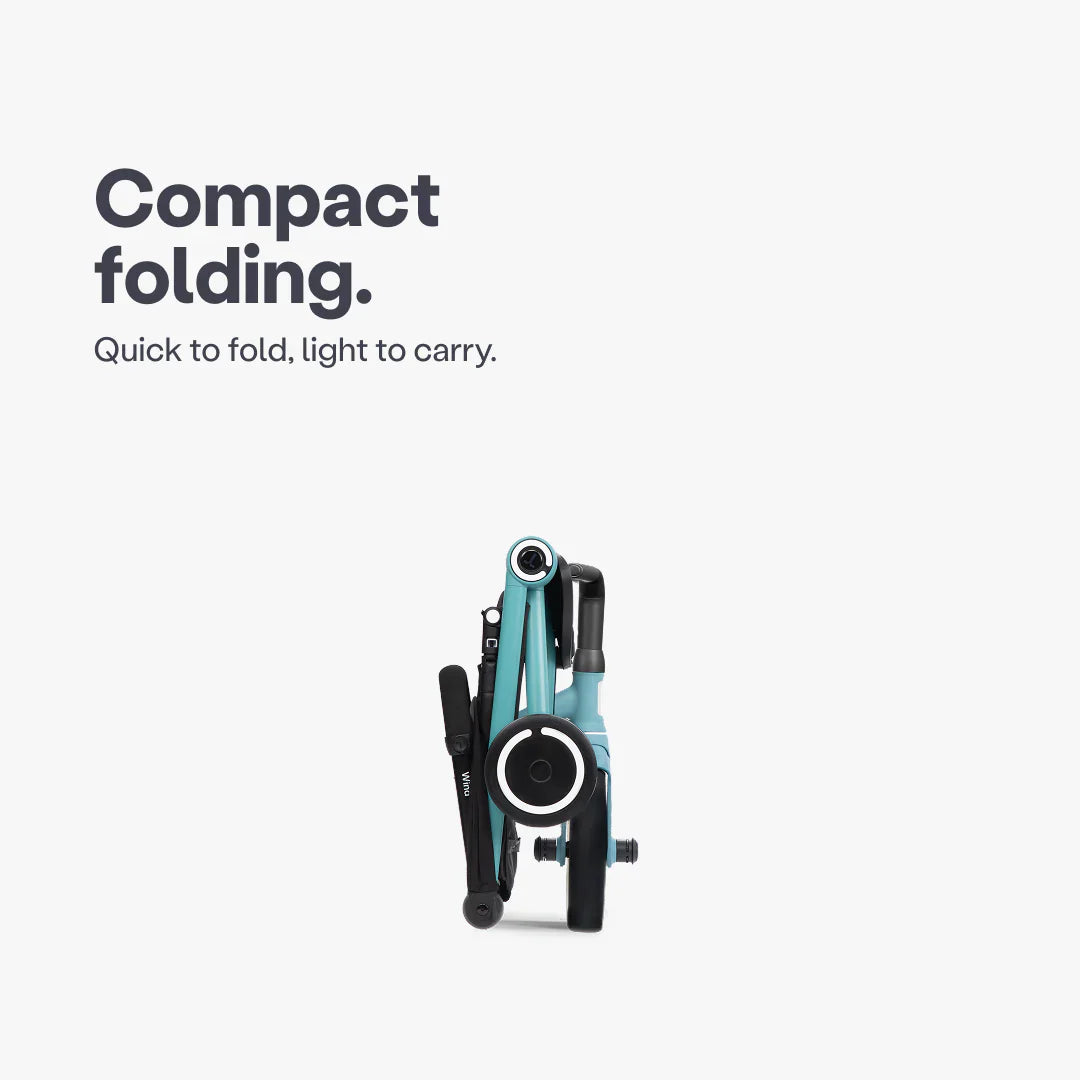 SmartTrike Wind Trike