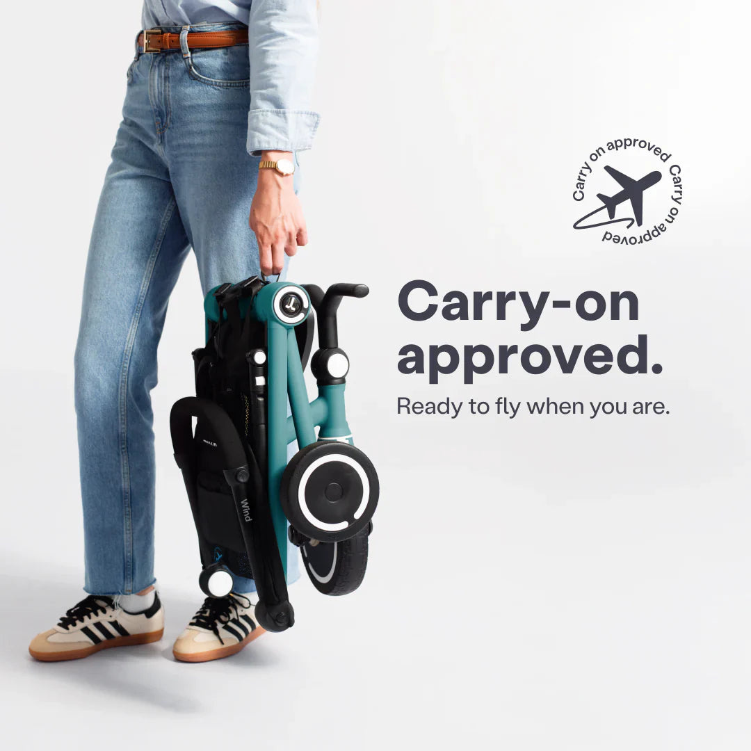 SmartTrike Wind Trike