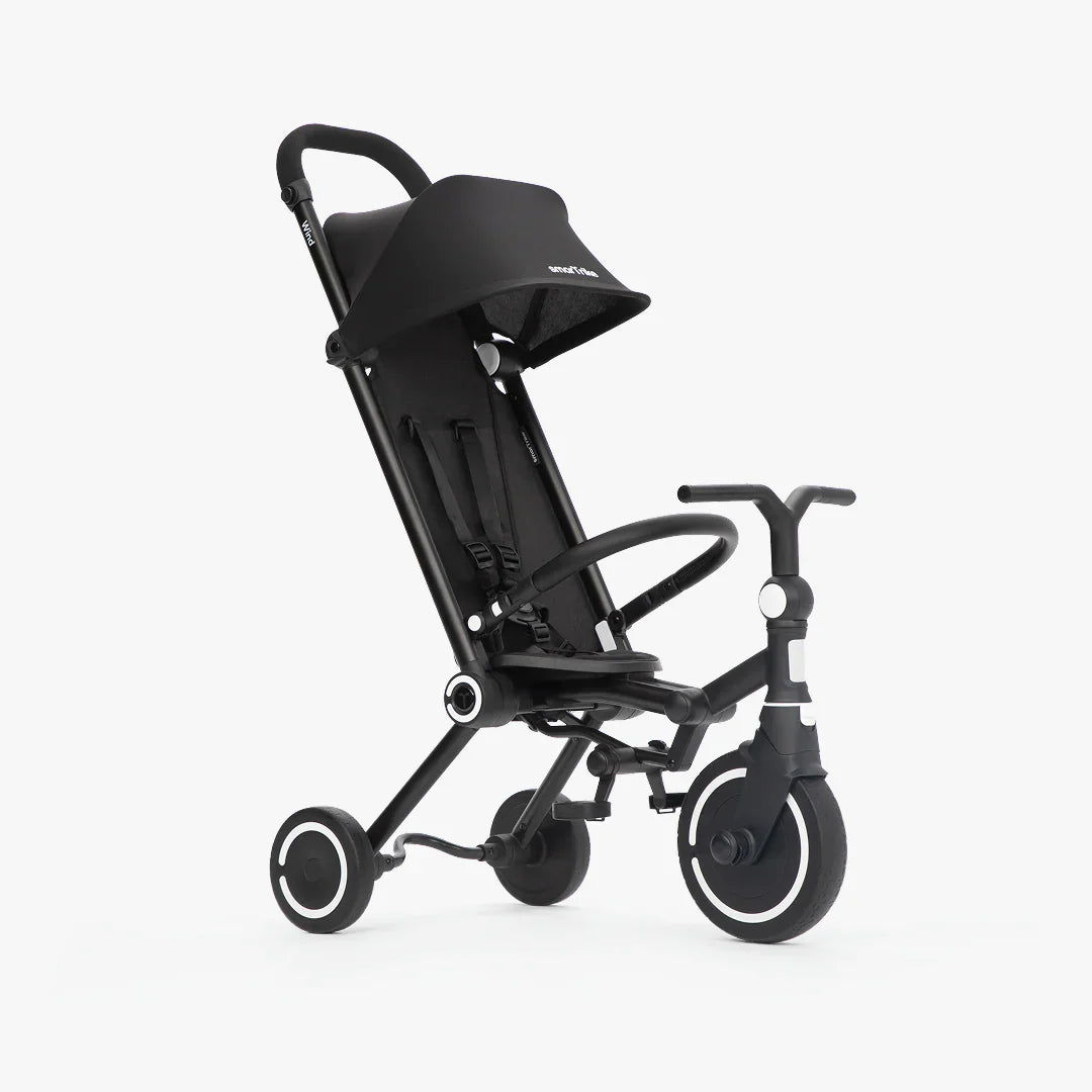 SmartTrike Wind Trike