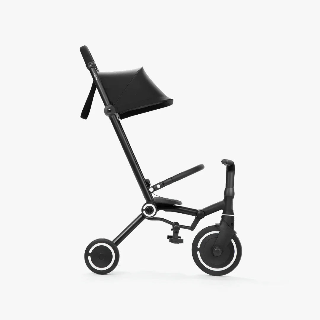 SmartTrike Wind Trike