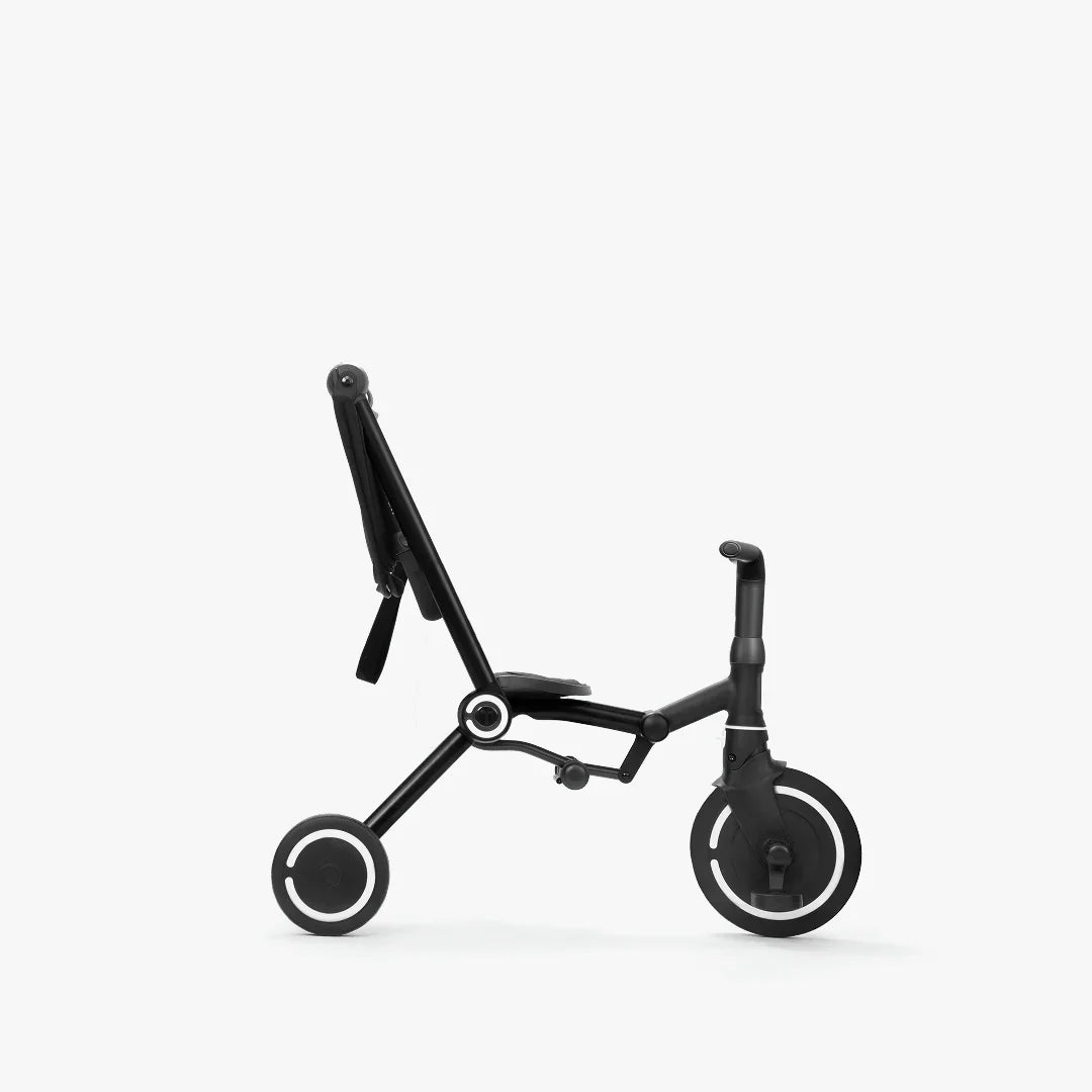 SmartTrike Wind Trike