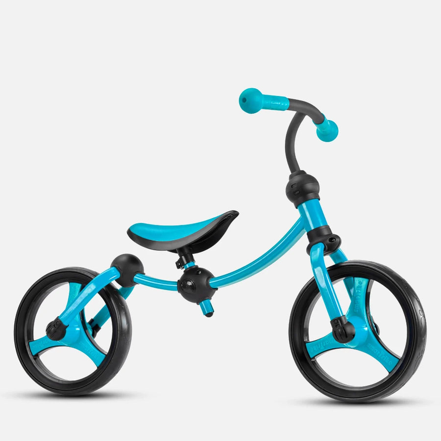 2-in-1 Bike